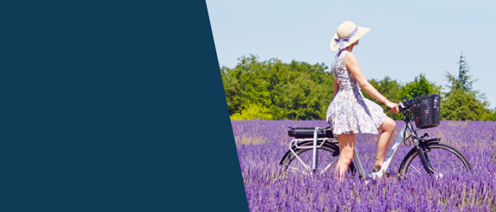provence attractivite